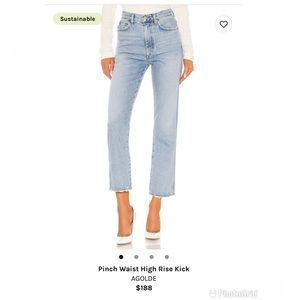 AGOLDE Pinch Waist High Rise Jeans